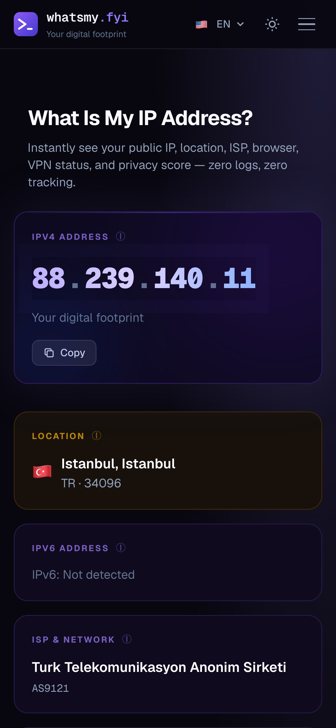 whatsmy.fyi ana sayfa mobil görünümü