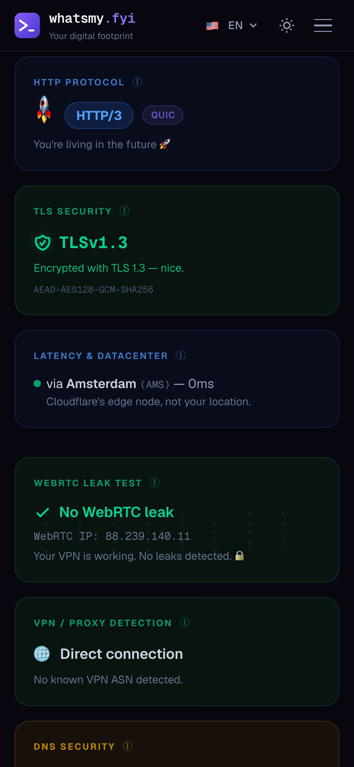whatsmy.fyi güvenlik ve WebRTC kartları